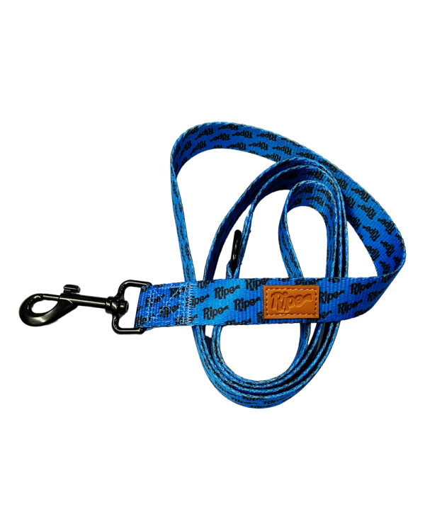 Ripe Bright Blues Dog Leash Discount