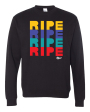 Multicolored Logo Crewneck (Black) Online now