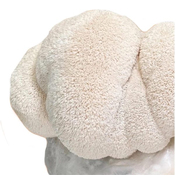 Organic Lion s Mane Mushroom Grow Kit Fruiting Block For Sale