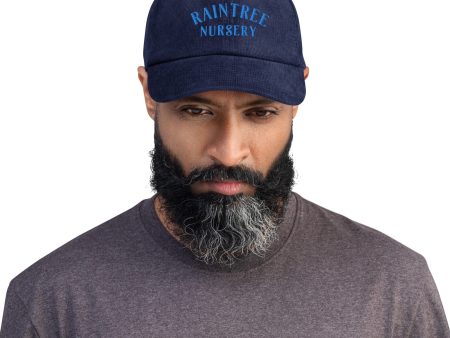 Winter Edition Corduroy Hat in Blue Online Sale