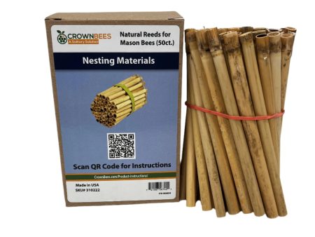 Spring Natural Reeds for Mason Bees - 8mm Supply