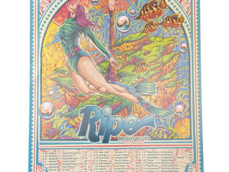 Bright Blues Tour Poster Supply