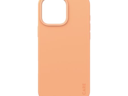 CARE BY PANZERGLASS Fashion Hard MagSafe Case for iPhone 16 Pro Max - Peachy Online Hot Sale