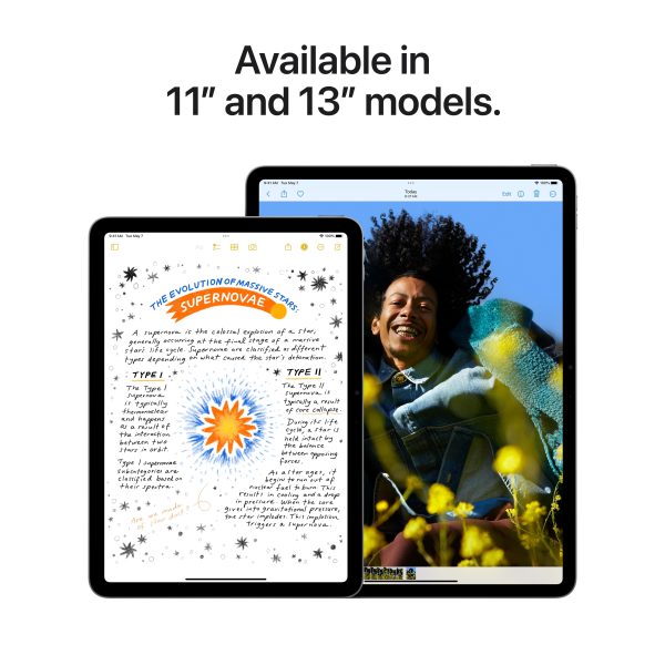 13-inch iPad Air Wi-Fi + Cellular 256GB - Purple (M2) Online Hot Sale